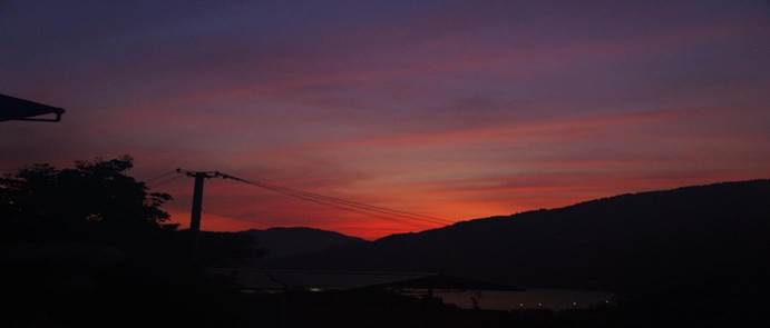 IMG_256 IMG_256